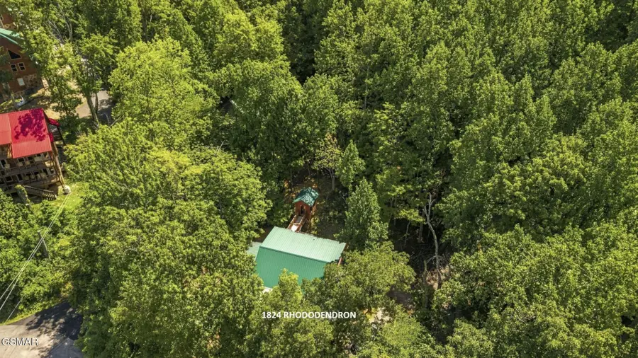 1824 Rhododendron Lane, Sevierville, TN 37876 - #3