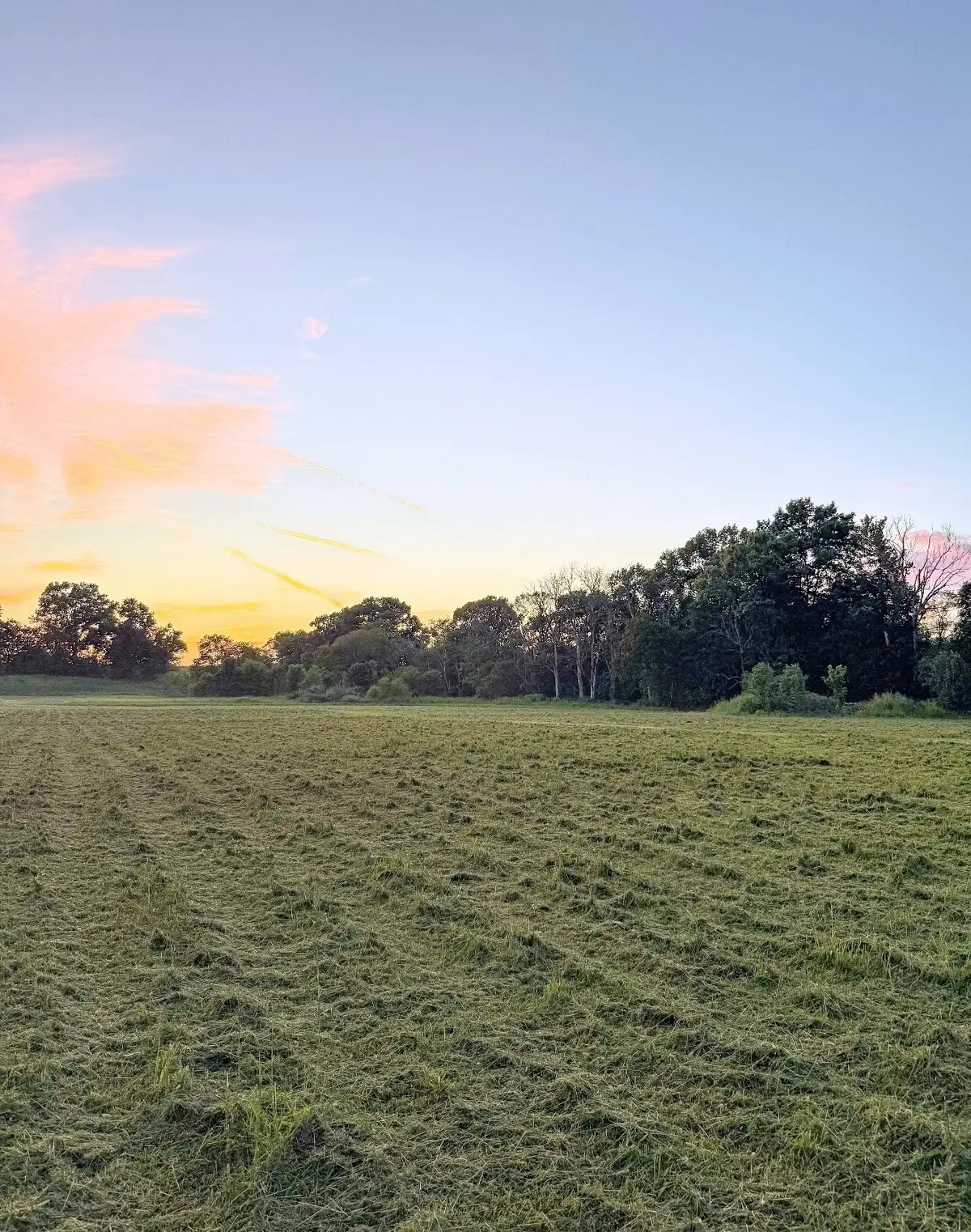 8001 Cainsville Road, Lebanon, TN 37090 - #1