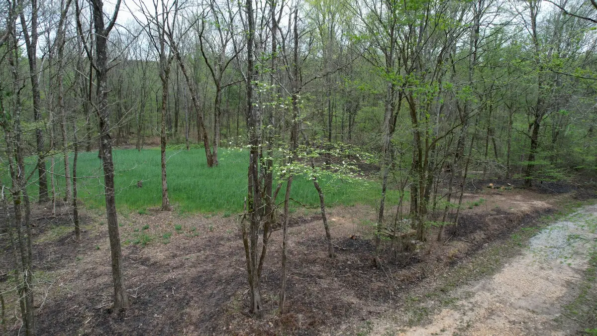 4424 Lane Spring Rd, Cherokee, AL 35616 - #1