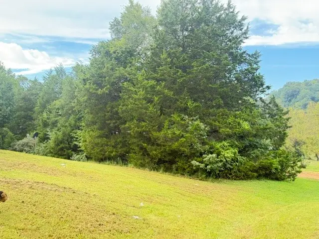 1295 Carney Winters Rd, Ashland City, TN 37015 - #2