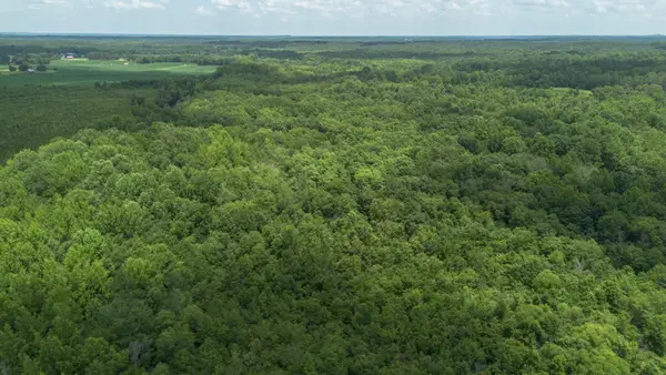 0 Smith Rd, Finger, TN 38334