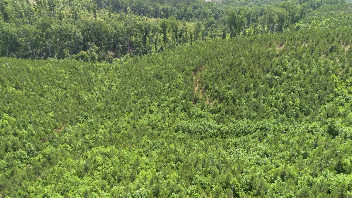 0 Low Gap Road, Sugar Tree, TN 38380 - #1