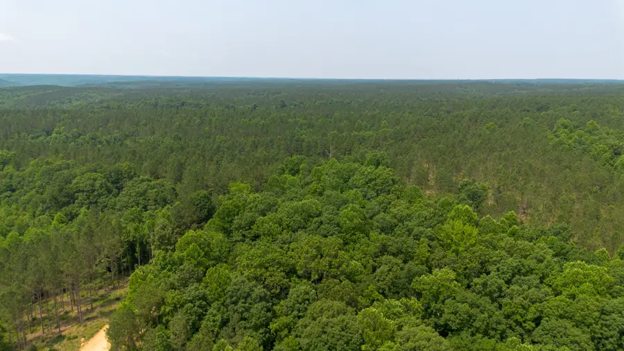 1353 Copperas Branch Rd, Centerville, TN 37033 - #3
