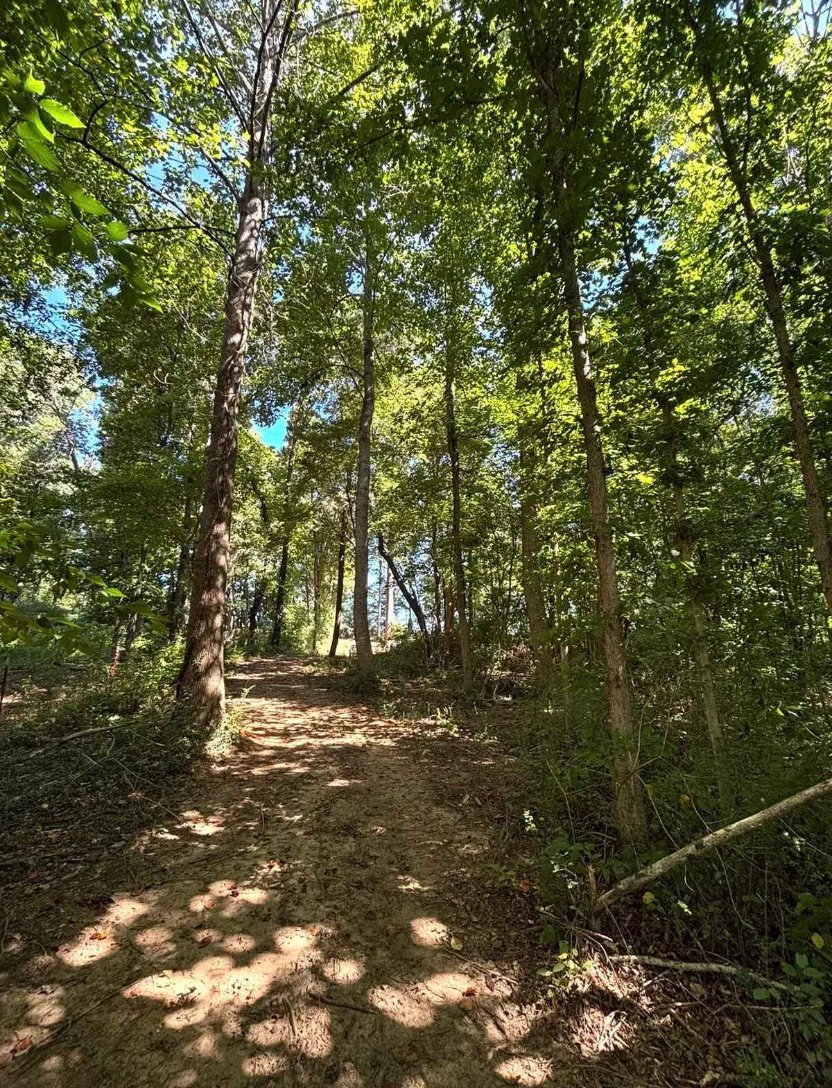 388 W Toomey Lane, Madisonville, TN 37354 - #1