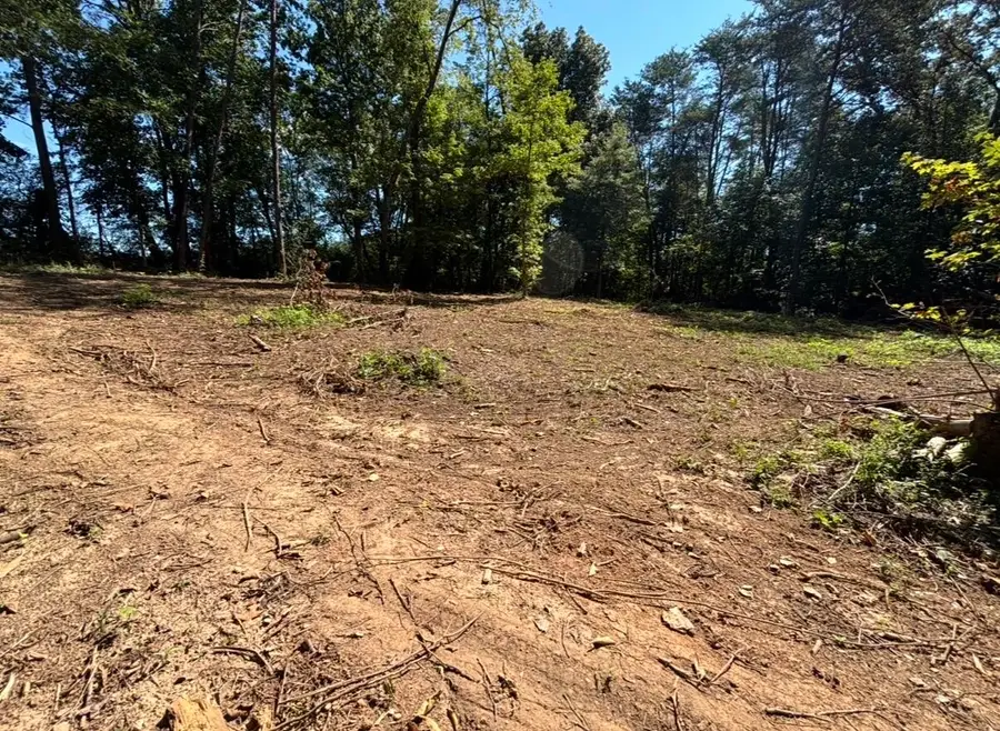 388 W Toomey Lane, Madisonville, TN 37354 - #3