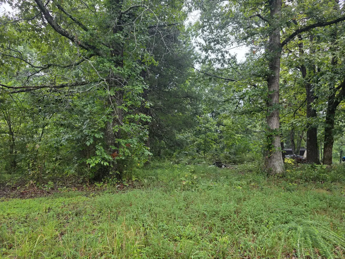 1875 Old Lock A Rd, Charlotte, TN 37036 - #1