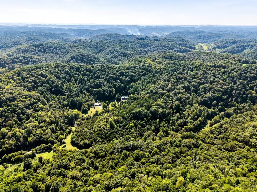 59 Russell Ln, Pleasant Shade, TN 37145 - #2