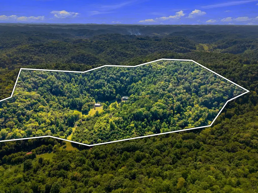 59 Russell Ln, Pleasant Shade, TN 37145 - #3