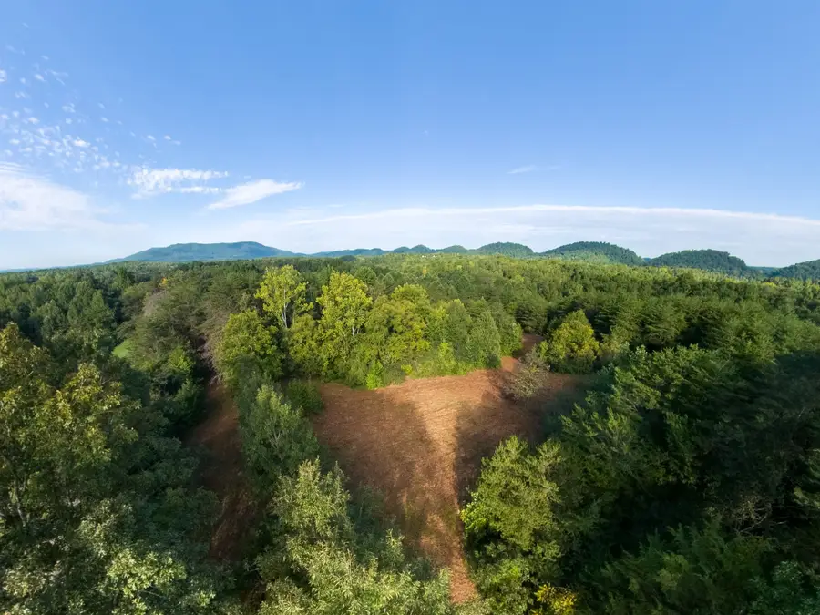 408 Shadden Rd, Tellico Plains, TN 37385 - #3