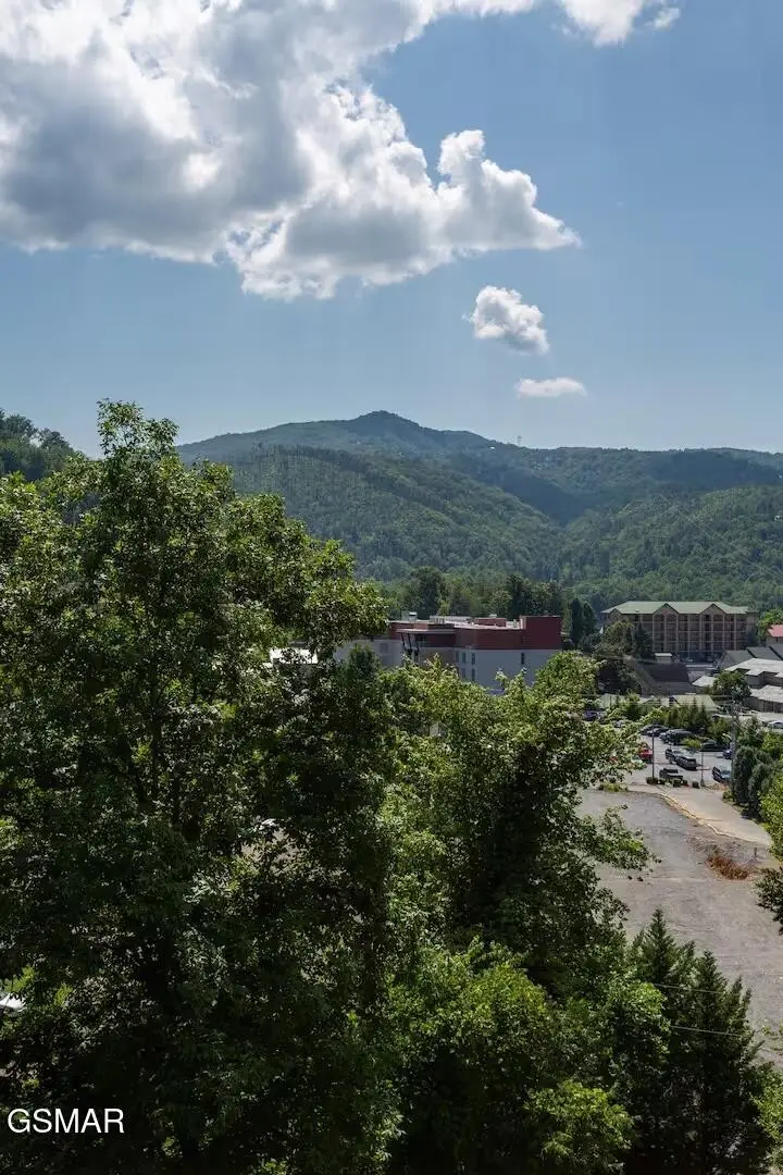 354 E Holly Ridge Road, Gatlinburg, TN 37738 - #2