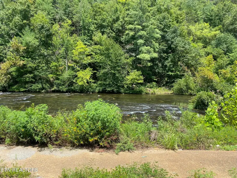 1663 Cherohala, Tellico Plains, TN 37385 - #3