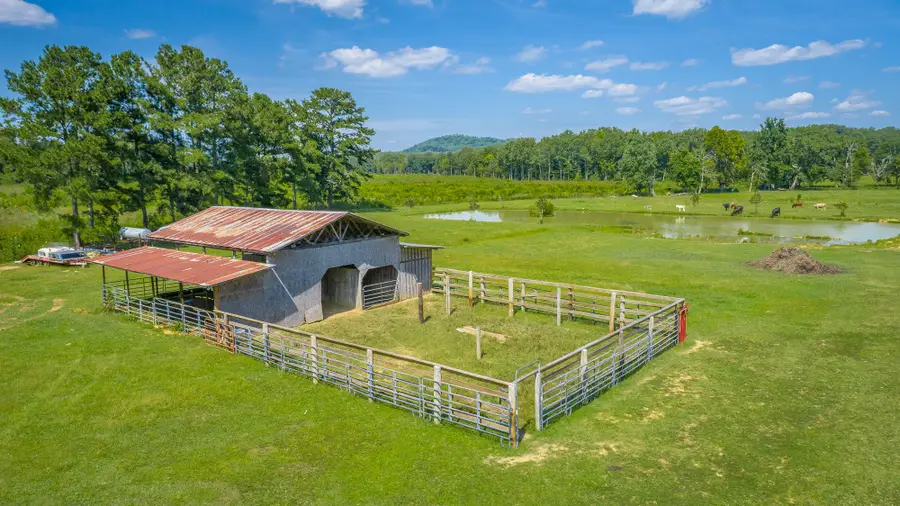 5605 Main Street, Gaylesville, AL 35973 - #3