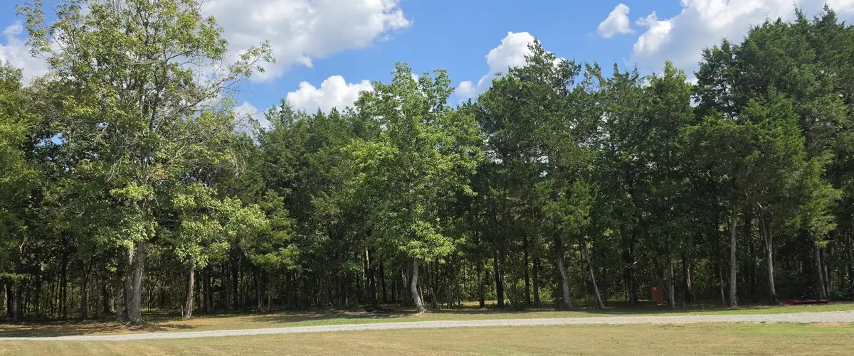 1954 South Berlin Road, Lewisburg, TN 37091 - #1