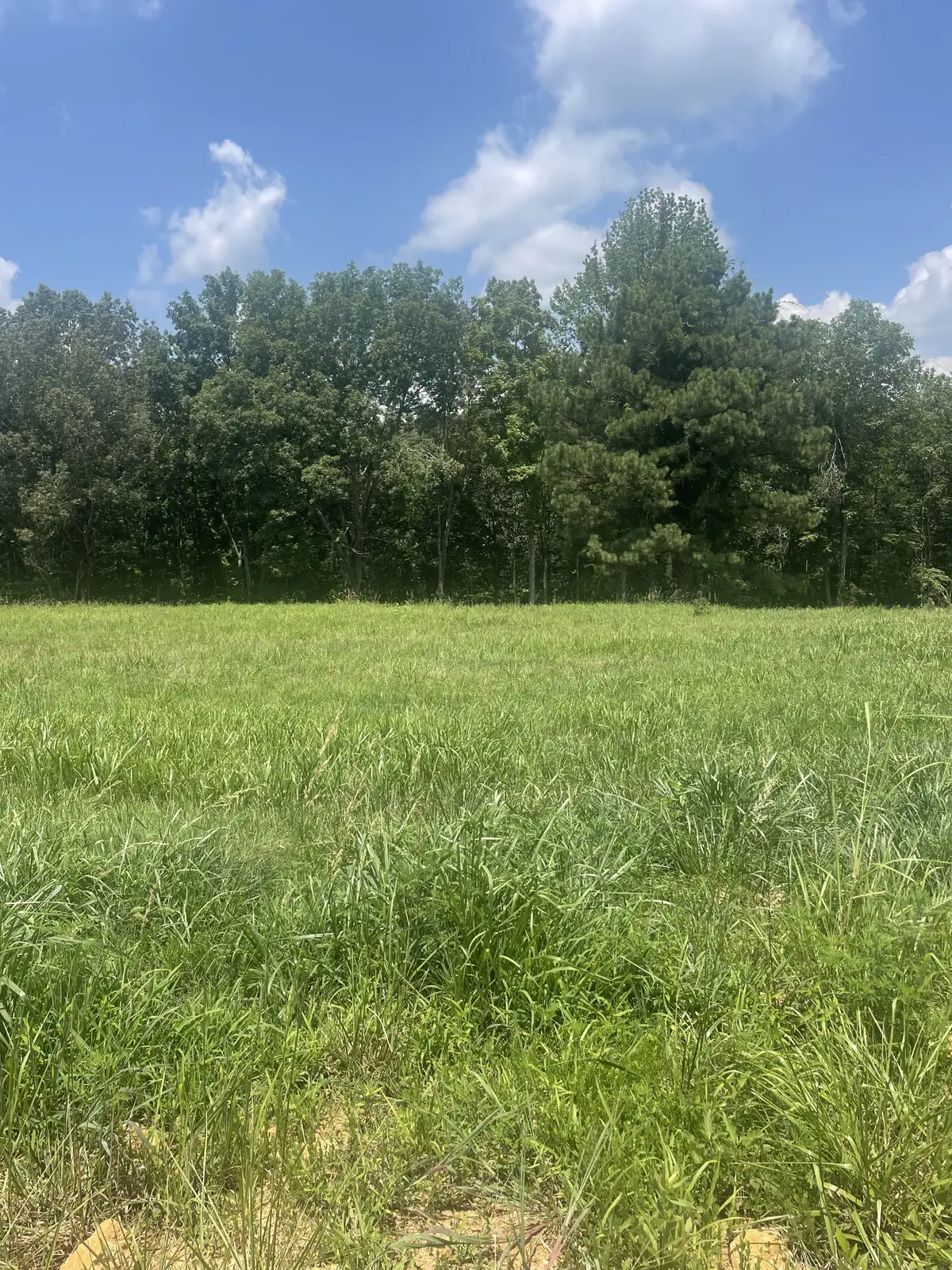 0 Summer Lake, Winchester, TN 37398 - #1