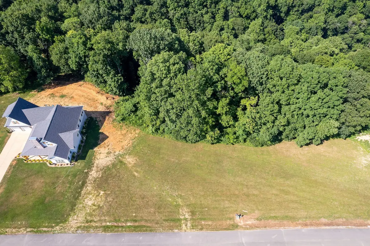 0 Meadowview Ln, Smithville, TN 37166 - #1
