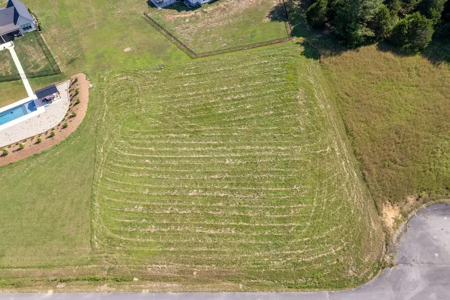 0 Meadowview Ln, Smithville, TN 37166 - #3