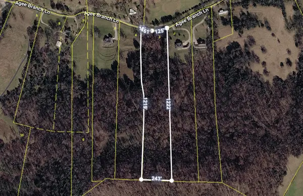115 Agee Branch Ln, Hickman, TN 38567