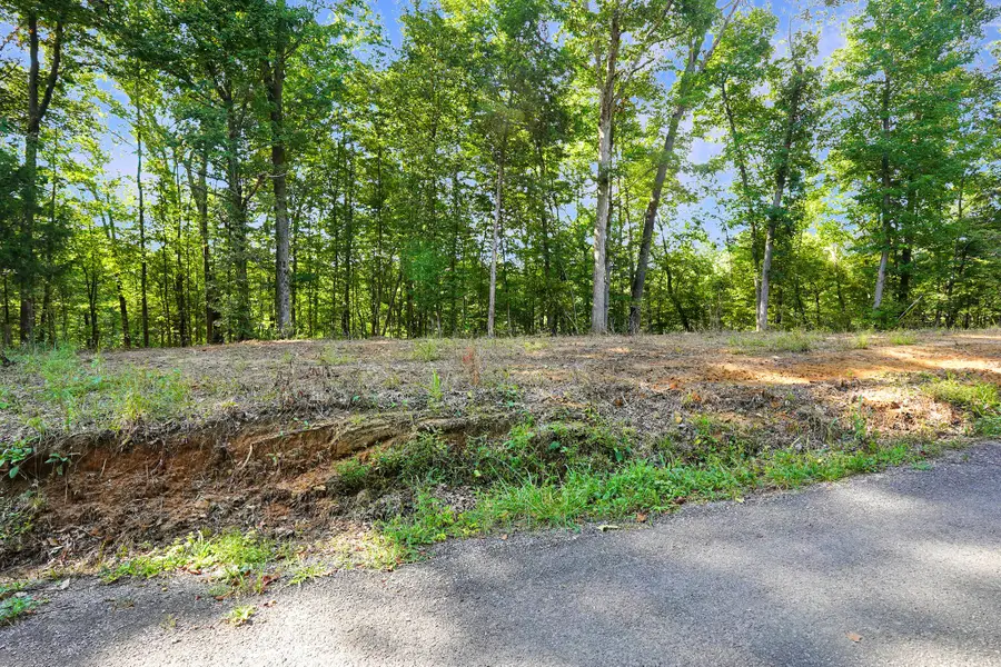 8 Selph Rd, Stewart, TN 37175 - #2