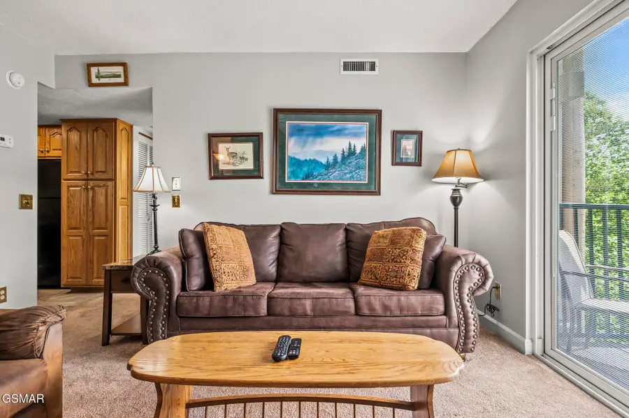 3710 Weber Road #A204, Gatlinburg, TN 37738 - #2