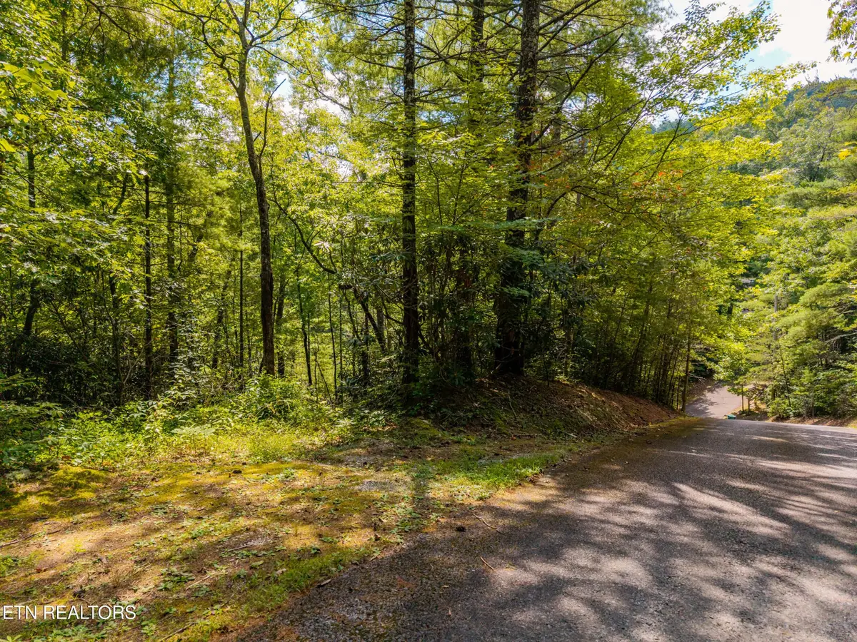 267 Cobblestone Way, Townsend, TN 37882 - #1