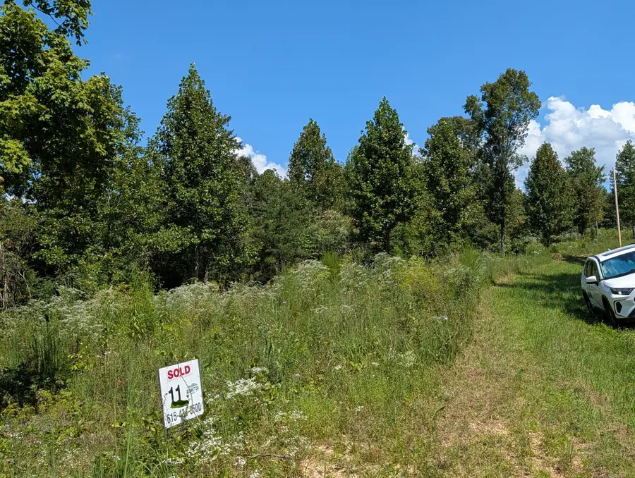 331 Ridgetop Rd, Hampshire, TN 38461 - #2