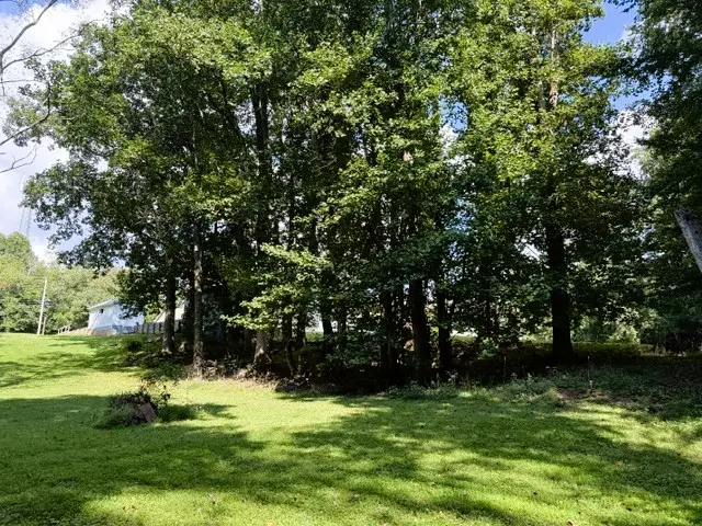 305 S Riverside Dr, McMinnville, TN 37110 - #2