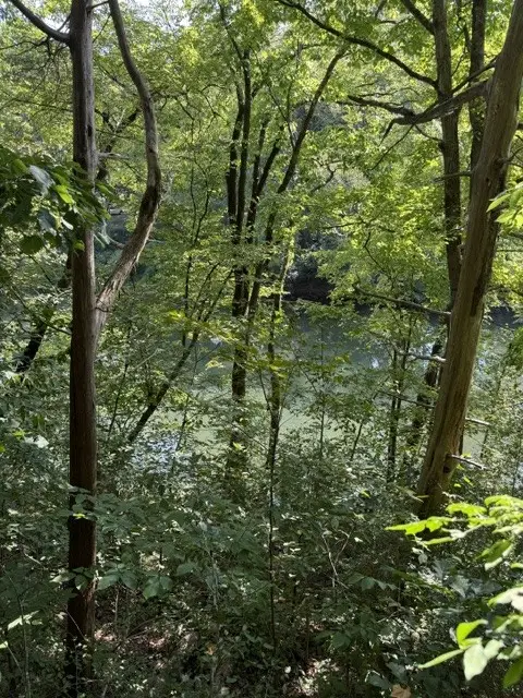 305 S Riverside Dr, McMinnville, TN 37110 - #3