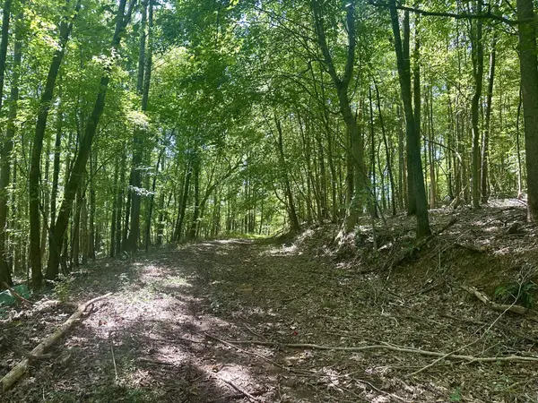 7721 Wayland Springs Rd, Iron City, TN 38463