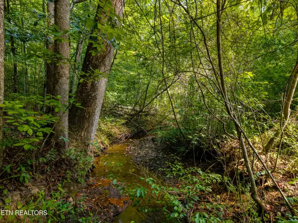 407 Chetola Tr, Townsend, TN 37882