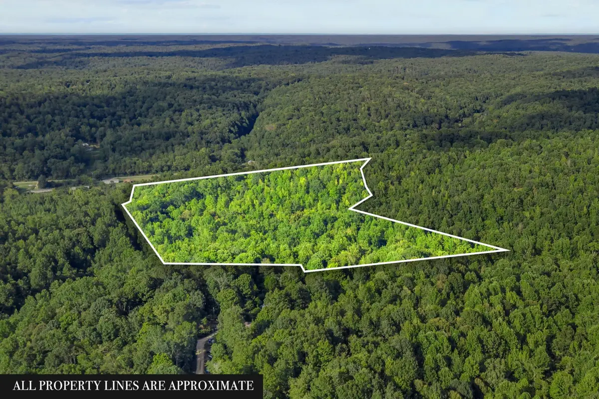 107 Possum Trot Ln, Linden, TN 37096 - #1