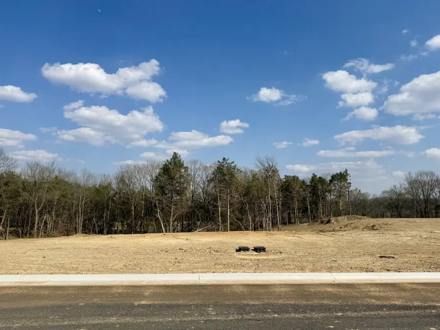 6104 St Charles, Arrington, TN 37014 - #2