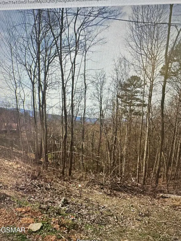 1921 Battle Top Road, Sevierville, TN 37876