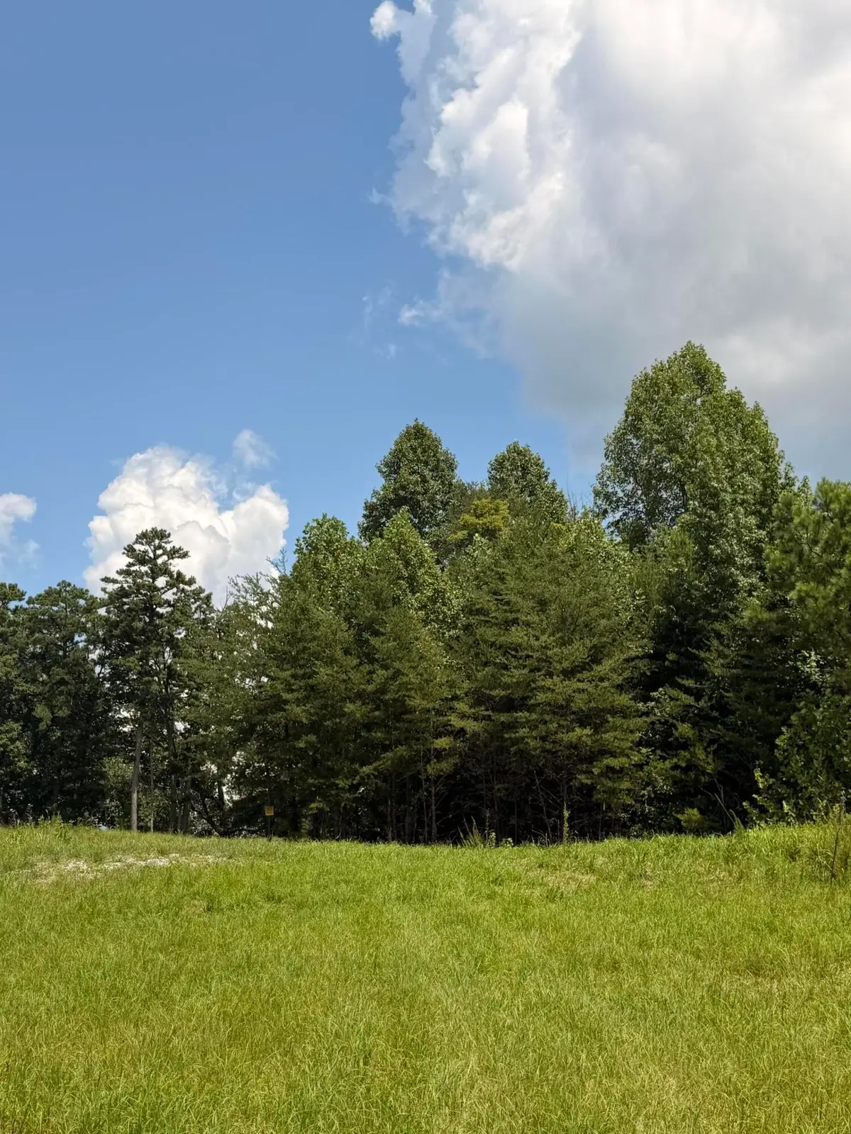 12 Old Harris Turnpike Road, South Pittsburg, TN 37380 - #1