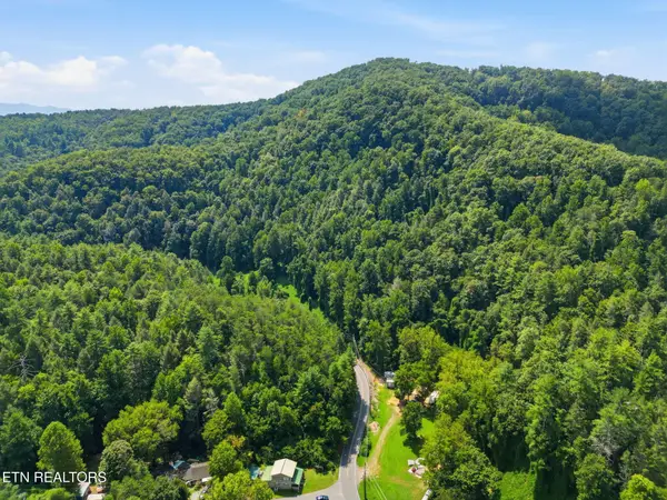 3910 Wilhite Rd, Sevierville, TN 37876