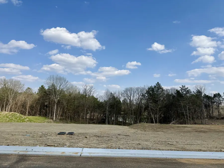 6108 St Charles Dr, Arrington, TN 37014 - #2