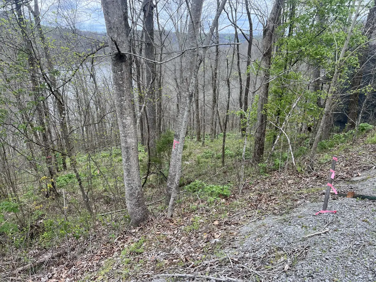 132 Lakeview Dr, Smithville, TN 37166 - #1