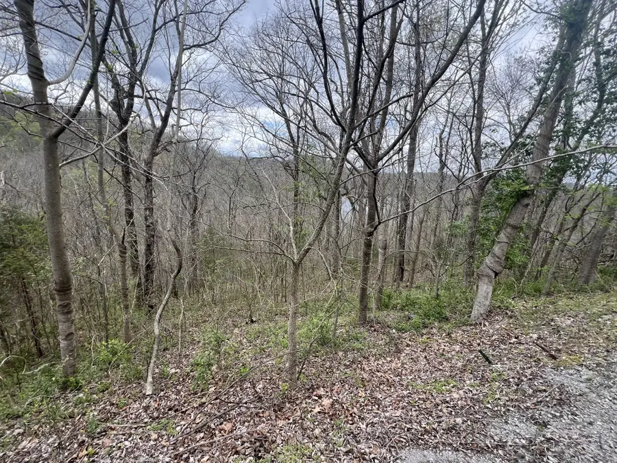 132 Lakeview Dr, Smithville, TN 37166 - #3