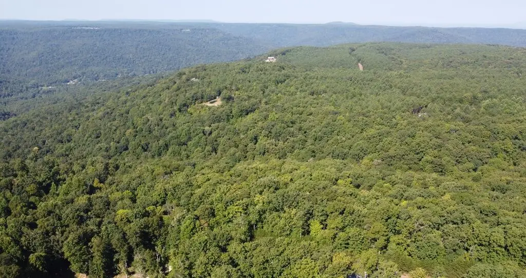 435 Ridge Wood Dr, Spencer, TN 38585 - #1
