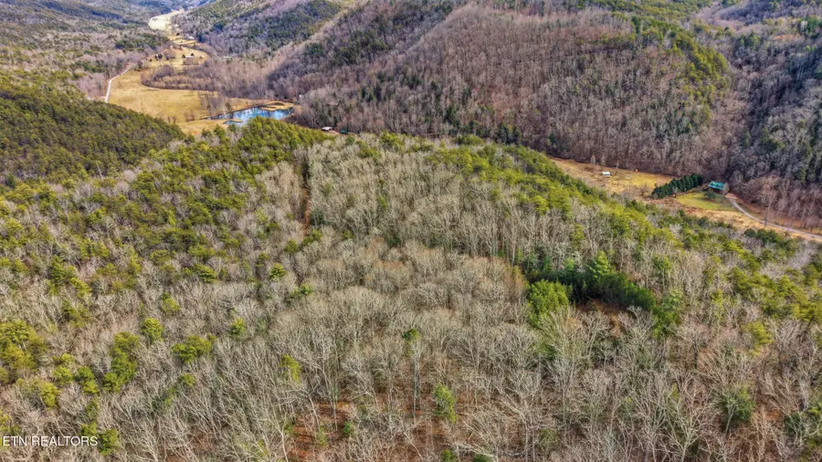 0 Steer Creek Rd, Tellico Plains, TN 37385 - #3