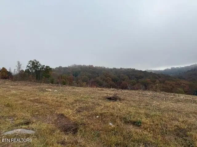 0 Pinnacle Lane, La Follette, TN 37766 - #2