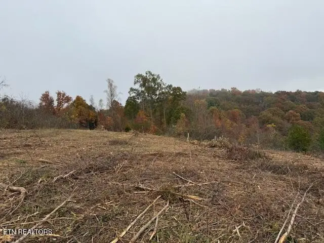 0 Pinnacle Lane, La Follette, TN 37766 - #3