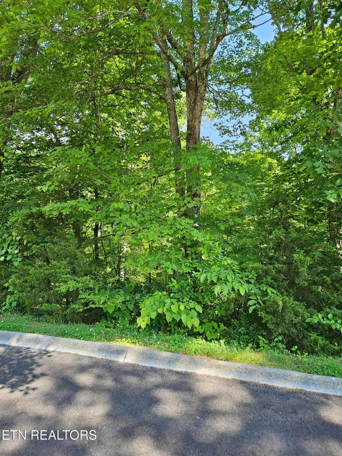 15 Saddleback Way, Sevierville, TN 37862 - #1