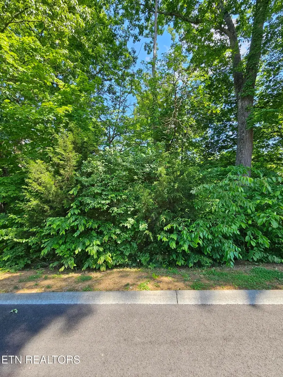 15 Saddleback Way, Sevierville, TN 37862 - #3
