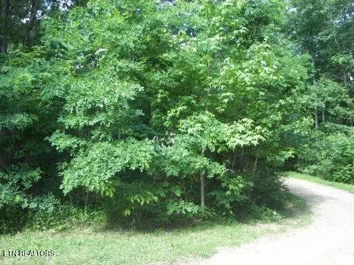 30 Butternut Lane, Sevierville, TN 37876