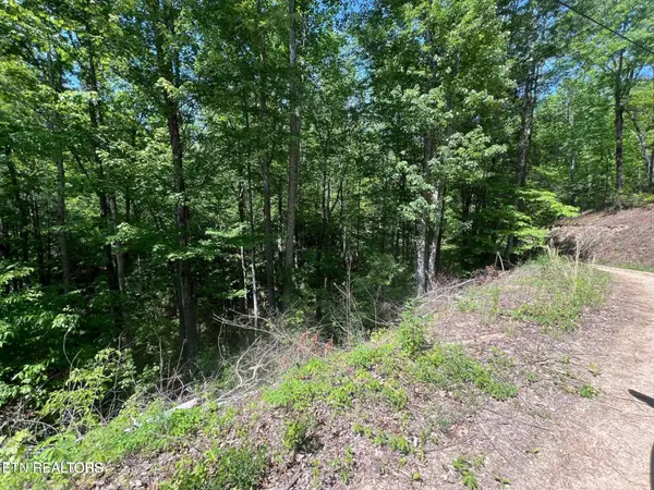 55 Butternut Lane, Sevierville, TN 37876