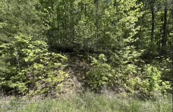 23 Green Meadows Dr, Sevierville, TN 37876