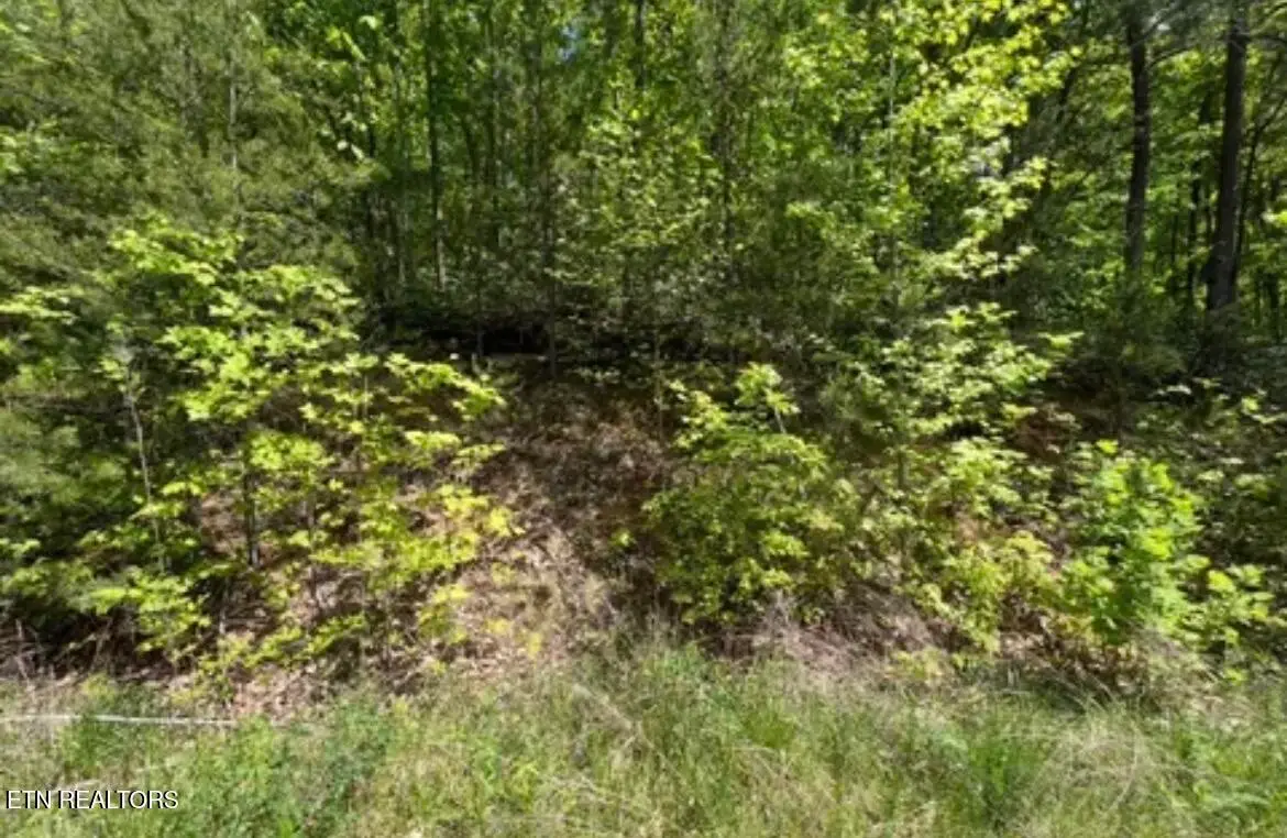 50 Yellowwood Drive, Sevierville, TN 37876 - #1