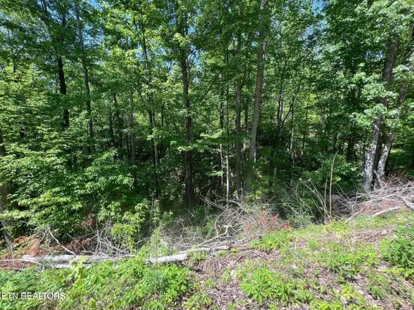 26 Black Oak Pl Place, Sevierville, TN 37876