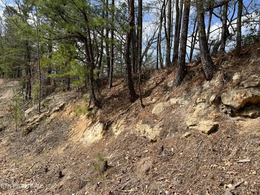 0 Chestnut Ridge Court, Sevierville, TN 37876 - #3