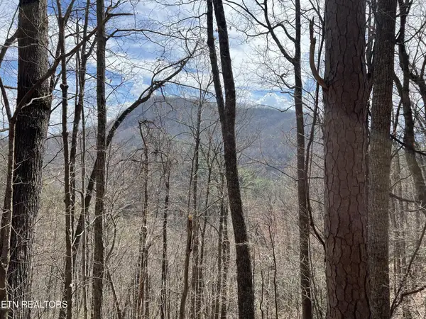0 Aintree Drive, Sevierville, TN 37876